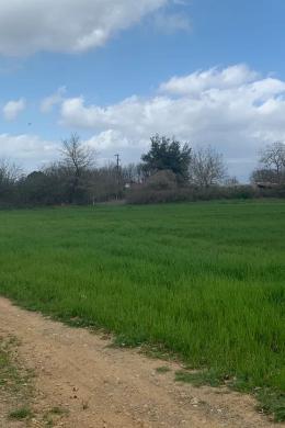 Megalopoli, Plot, Sale, 15589 sq.m